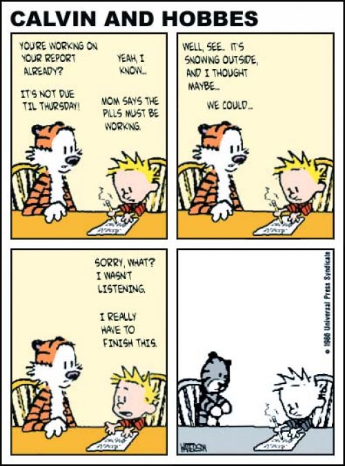 Scotto_calvin-hobbes-pills_36968.jpg